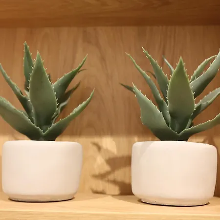 Apartment Safari - Plac Wolnosci 6