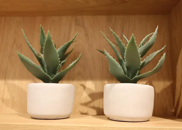 Lejlighed Safari - Plac Wolnosci 6